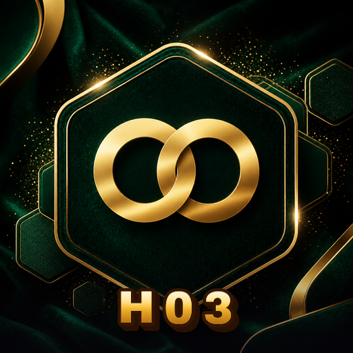 h03